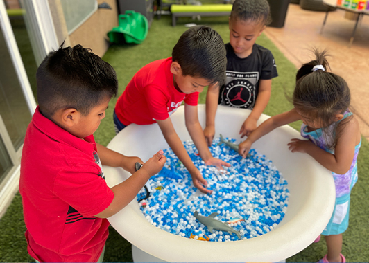Toddler Program